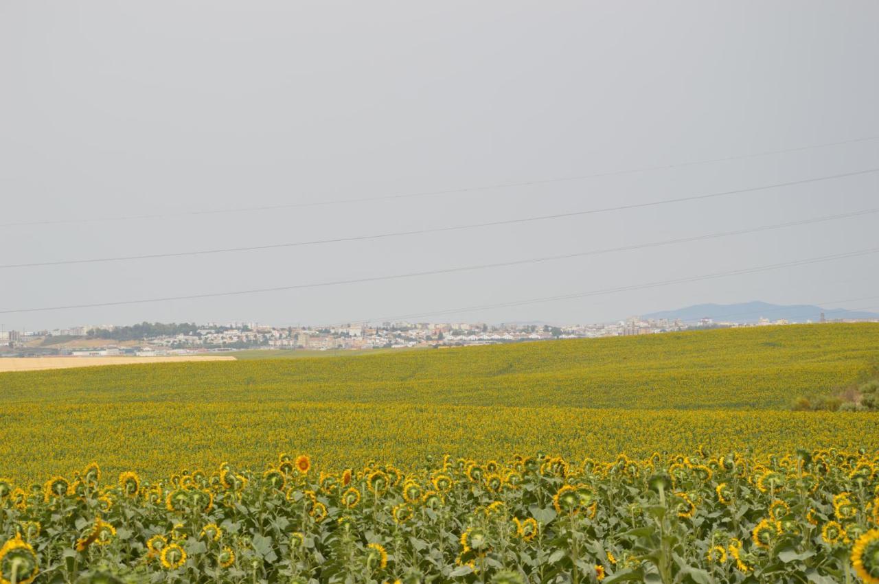 Cortijo Las Manoteras El Puerto de Santa María Zewnętrze zdjęcie